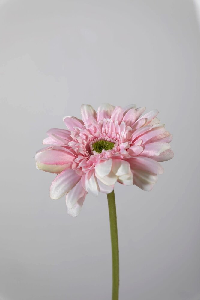 Gerbera Stem pink - 55 x 10cm Gerbera Stem pink - 55 x 10cm