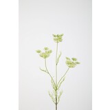 Queen Anne's Lace - 84cm Queen Anne's Lace - 84cm
