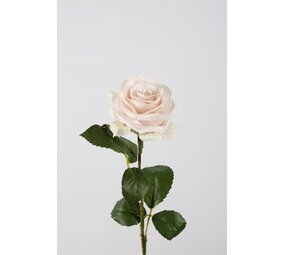 Rose Stem  lichtroze - 54cm Rose Stem  lichtroze - 54cm