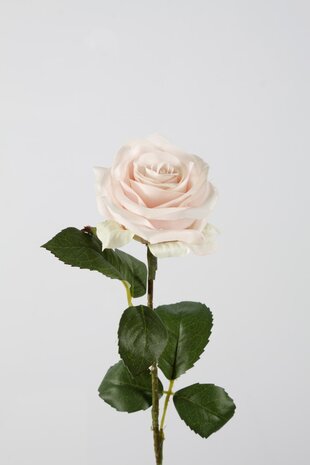Rose Stem  lichtroze - 54cm Rose Stem  lichtroze - 54cm