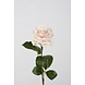 Rose Stem  lichtroze - 54cm Rose Stem  lichtroze - 54cm