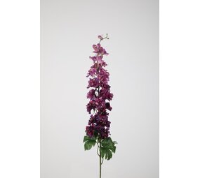 Delphinium Stem Delphinium Stem