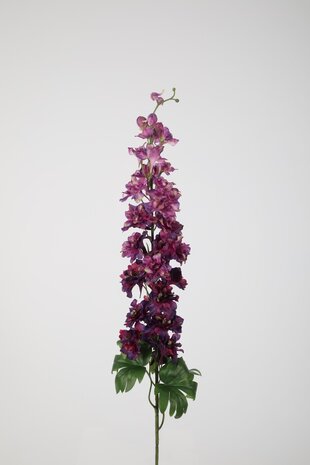 Delphinium Stem Delphinium Stem