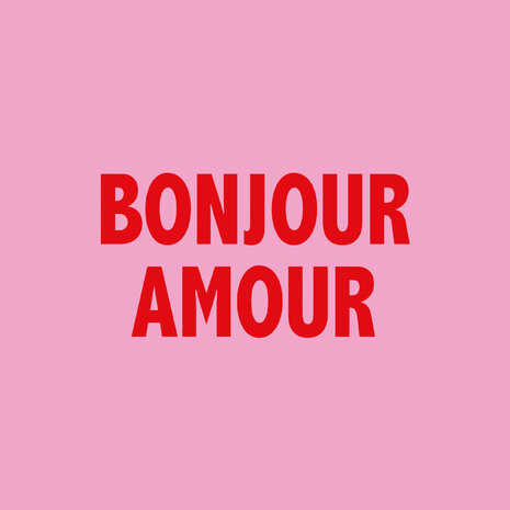 Ppd Servetten Bonjour Amour 25x25
