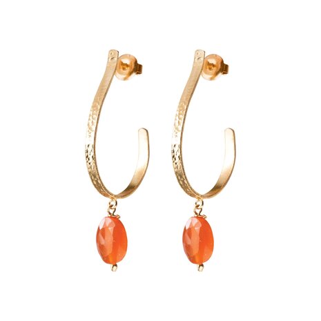 A Beautiful Story Attracted Carnelian Earrings GP A Beautiful Story Attracted Carnelian Earrings GP