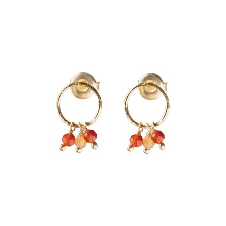 A Beautiful Story Genuine Carnelian Citrine Earrings GP
