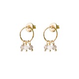 A Beautiful Story Genuine Labradorite Moonstone Earrings GP A Beautiful Story Genuine Labradorite Moonstone Earrings GP