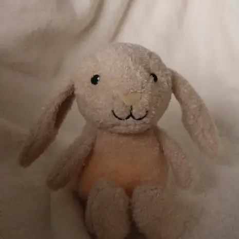 Flow Amsterdam Milo Plush night light - oat