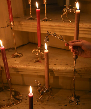 Doing Goods Chirpy Candle Snuffer Doing Goods Chirpy Candle Snuffer