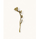 Doing Goods Chirpy Candle Snuffer Doing Goods Chirpy Candle Snuffer