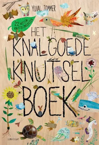 Het Knalgoede Knutselboek Het Knalgoede Knutselboek