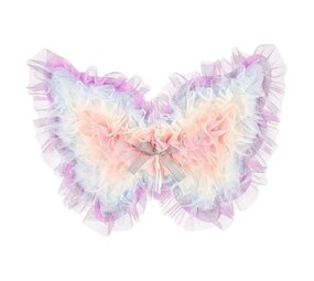 Souza Vleugels Beate