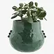 Madam Stoltz Bloempot - groen Madam Stoltz Bloempot - groen