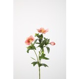 Christmas Rose Spray - Pink Christmas Rose Spray - Pink