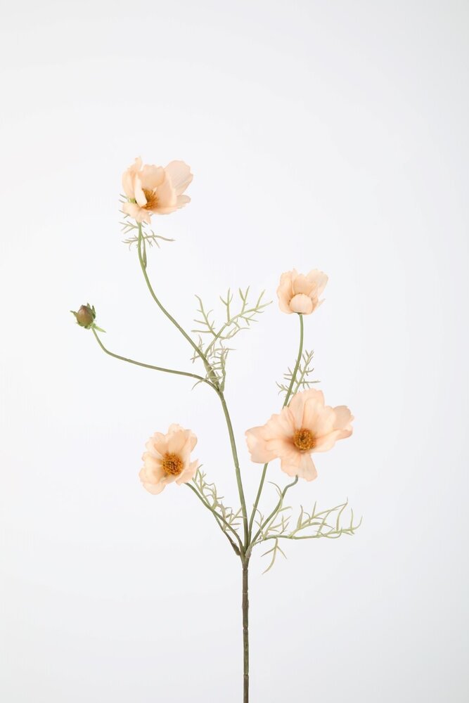 Cosmos Spray - Pink Cosmos Spray - Pink