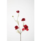 Cosmos Spray - Burgundy Cosmos Spray - Burgundy
