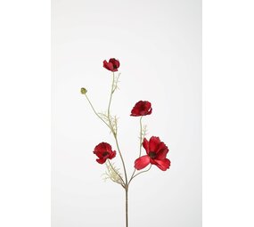 Cosmos Spray - Burgundy Cosmos Spray - Burgundy