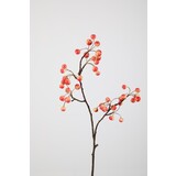 Berry Stem Berry Stem