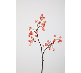 Berry Stem Berry Stem