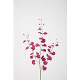 Dancing Orchid Spray Dancing Orchid Spray