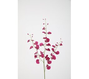 Dancing Orchid Spray Dancing Orchid Spray