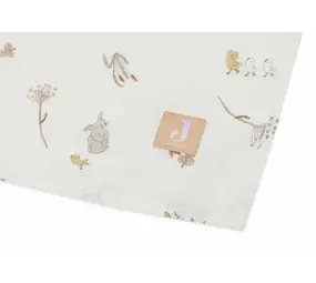 Jollein 2x Hydrofiele Multidoek 115x115cm – Riverside