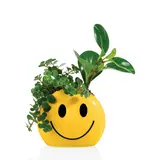 Bitten Design Mood Pot Sunshine Bitten Design Mood Pot Sunshine