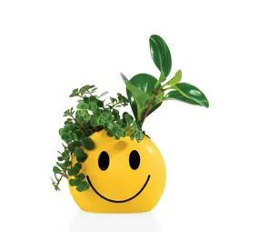 Bitten Design Mood Pot Sunshine Bitten Design Mood Pot Sunshine