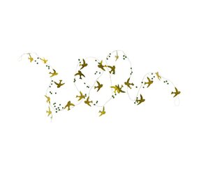 Slinger Dove Slinger Dove