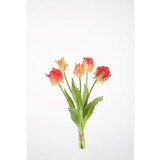 Parrot Tulip x5 - 41cm Parrot Tulip x5 - 41cm