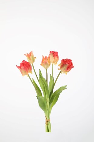 Parrot Tulip x5 - 41cm Parrot Tulip x5 - 41cm