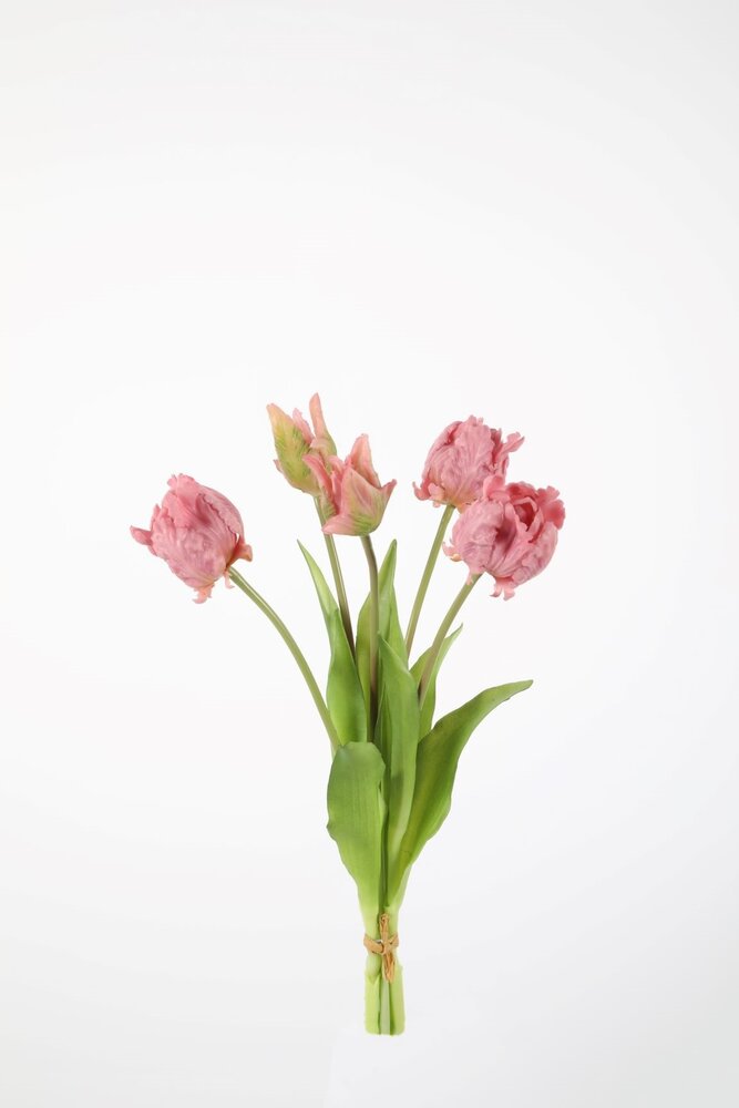 Parrot Tulip x5 - 41cm Parrot Tulip x5 - 41cm