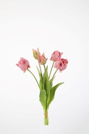 Parrot Tulip x5 - 41cm Parrot Tulip x5 - 41cm