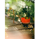 HK Living Retro flower pot - Cherry Red HK Living Retro flower pot - Cherry Red