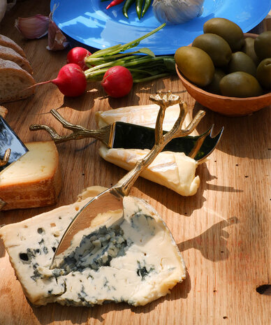 Doing Goods Ava Blossom Cheese Set