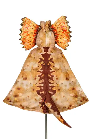 Souza Dilophosaurus Cape