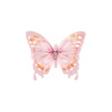 Souza Haarklemmetje Carys Vlinder - Roze