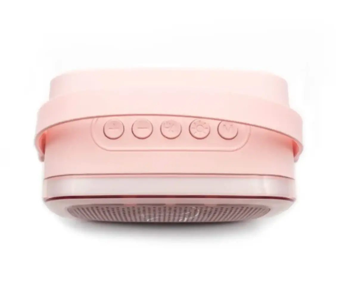 Lalarma Karaokeset Party 2 microfoons - Roze Lalarma Karaokeset Party 2 microfoons - Roze