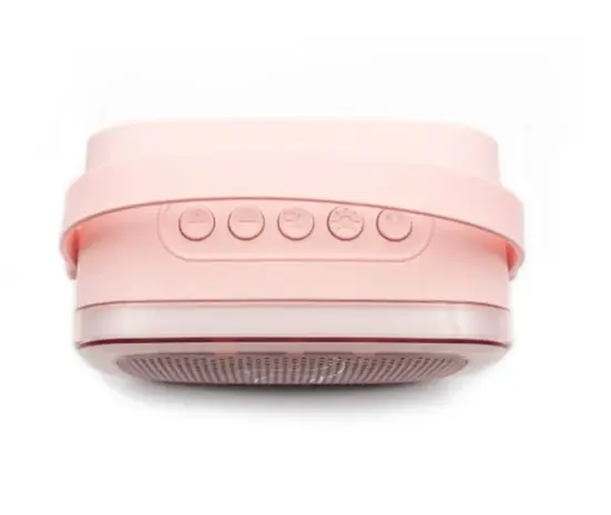 Lalarma Karaokeset Party 2 microfoons - Roze Lalarma Karaokeset Party 2 microfoons - Roze