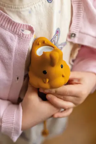 Rabbit&Friends Lion Silicone Flashlight Rabbit&Friends Lion Silicone Flashlight