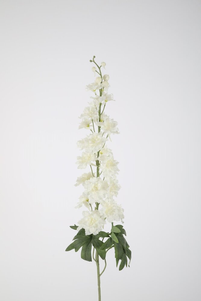 Delphinium Stem 102cm