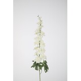 Delphinium Stem 102cm Delphinium Stem 102cm