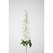 Delphinium Stem 102cm