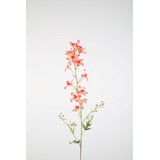 Delphinium Stem 100cm Delphinium Stem 100cm