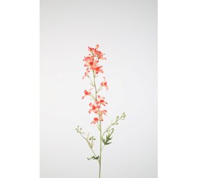 Delphinium Stem 100cm Delphinium Stem 100cm