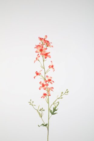 Delphinium Stem 100cm
