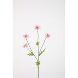 Daisy Spray 64cm Daisy Spray 64cm