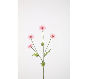 Daisy Spray 64cm Daisy Spray 64cm