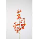 Dancing Orchid Spray RT 74cm Dancing Orchid Spray RT 74cm