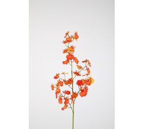 Dancing Orchid Spray RT 74cm Dancing Orchid Spray RT 74cm